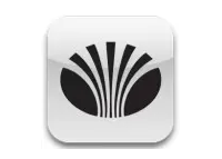 DAEWOO Natural wood veneer dash trim kits