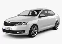 SKODA RAPID Natural wood veneer dash trim kits