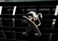 _CATEGOIES Vans Peugeot Commercial Natural wood veneer dash trim kits