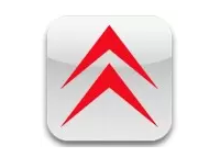 CITROEN Natural wood veneer dash trim kits